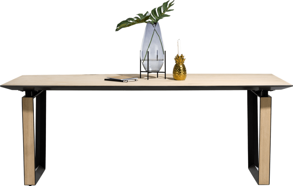Mand grens Steen DARWIN" eetkamertafel - 210 x 100 cm - XOOON