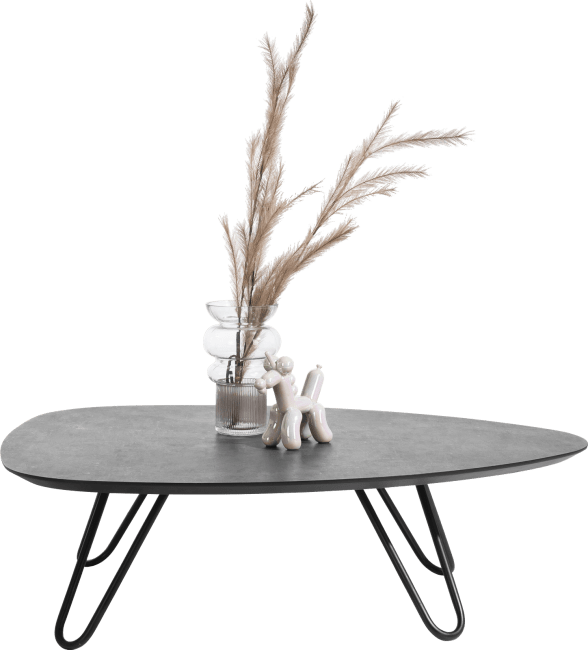 Masura salontafel met zwart metalen poot 110x88cm