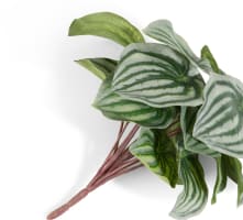 Peperomia Bush H25cm Kunstblume