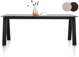 table 200 x 100 cm