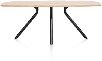 tafel 160 x 100 cm. - ovaal - centrale poot kort