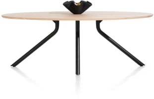 tafel 220 x 110 cm. - ellips - centrale poot lang