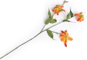 Gloriosa Spray kunstbloem H90cm