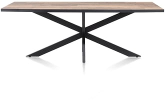 Tisch 230 x 98 cm