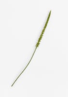 Donkey Tail kunstbloem H86cm