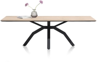 eetkamertafel 220 x 100 cm
