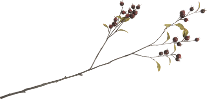 Cornus Berry Kunstblume H100cm