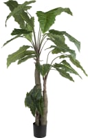 Alocasia Giant Tree 180cm Kunstpflanze