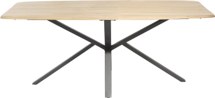 table - ovale - 190 x 110 cm.