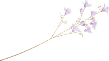 Bauhinia Branch H115cm fleur