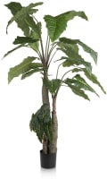 Alocasia Giant Tree H180cm plante artificielle