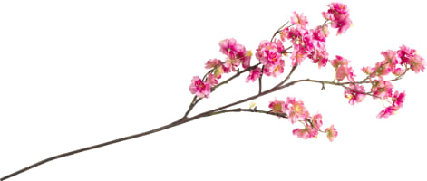Cherry blossom spray H120cm