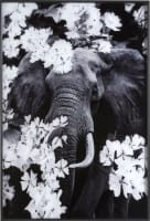 Flower Elephant toile imprimee 100x68cm