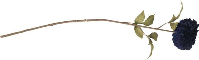 Dahlia pompon H74cm