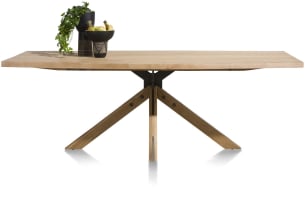 table 170 x 100 cm - pied central