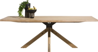 table 200 x 100 cm - pied central