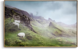 Highlands toile imprimee 100x70cm