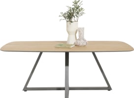 Tisch 210 x 110 cm Oval
