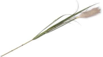 Pampus Grass Kunstblume H120cm