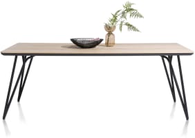 table 210 x 100 cm