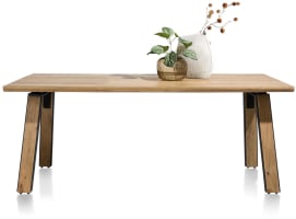 table 210 x 100 cm