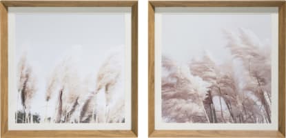 Pampas set van 2 fotoschilderijen 50x50cm