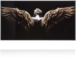 Angel Wings Bild 80x150cm