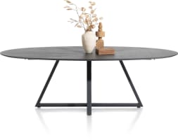 table ellipse 210 x 120 cm