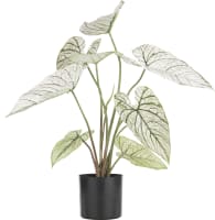 Caladium H60cm plante artificielle