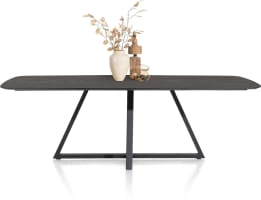 table ovale 210 x 110 cm