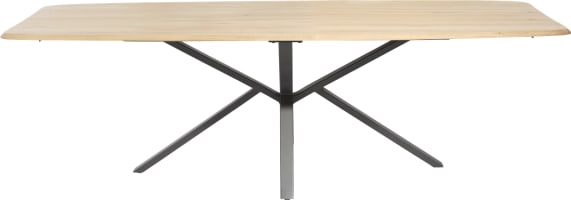 table - ovale - 250 x 110 cm.