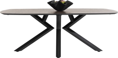 table ovale - 240 x 110 cm