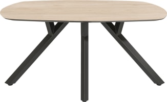 Tisch - oval - 200 x 105 cm.
