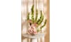 XOOON - COCOmaison - Bella schaal D28cm