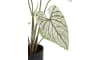 XOOON - COCOmaison - Caladium H60cm kunstplant