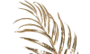 XOOON - COCOmaison - Areca Palm plant H105cm