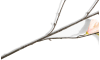 XOOON - COCOmaison - Hibiscus Branch H115cm fleur artificielle