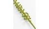 XOOON - COCOmaison - Donkey Tail kunstbloem H86cm