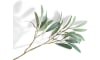 XOOON - COCOmaison - Olive Leaf Spray H82cm kunstbloem