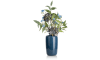 XOOON - COCOmaison - Eucalyptus branch H95cm