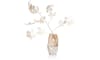 XOOON - COCOmaison - Don Vase H30cm
