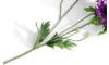 XOOON - COCOmaison - Anemone Spray H75cm Kunstblume