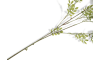 XOOON - COCOmaison - Blossom Spray H91cm Kunstblume