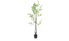 XOOON - COCOmaison - Tropaeolum Kunstpflanze H210cm