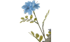 XOOON - COCOmaison - Eucalyptus branch H95cm