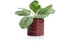 XOOON - COCOmaison - Bisko pot H16.5cm