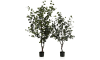 XOOON - COCOmaison - Eucalyptus Tree kunstplant H180cm