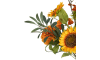 XOOON - COCOmaison - Olive Leaf Spray H82cm kunstbloem