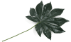 XOOON - COCOmaison - Fatsia Leaf Kunstblume H55cm