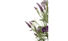 XOOON - COCOmaison - Olive Leaf Spray H82cm kunstbloem